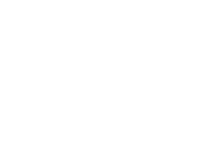Wrangler Insurance - Logo Icon White